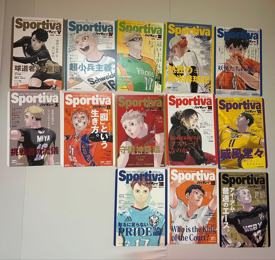 ハイキュー!! 全巻セット　 ショーセツバン!! 全巻セット