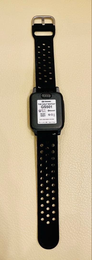 ザ・ゴルフウォッチGS501