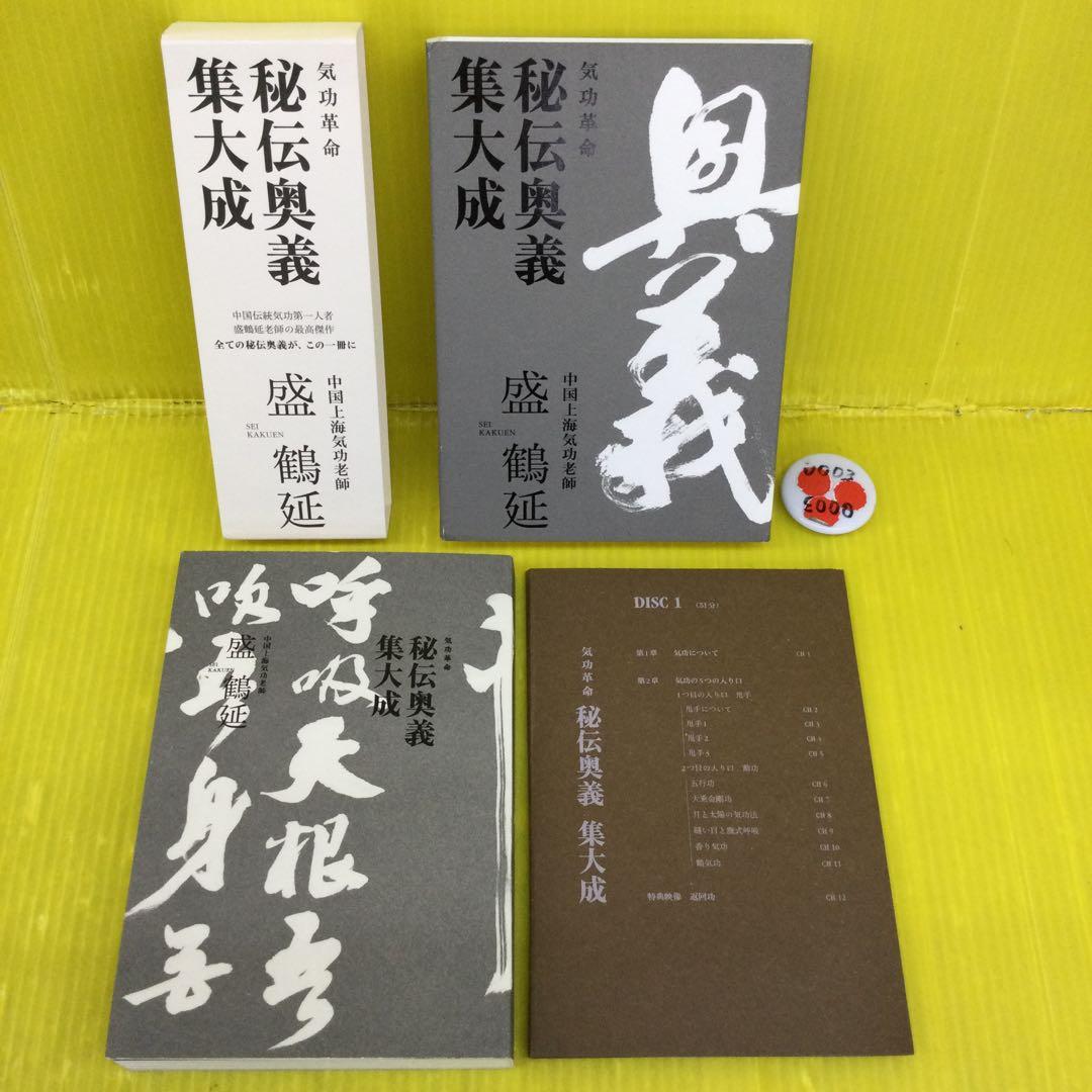 気功革命 秘伝奥義集大成 盛鶴延著