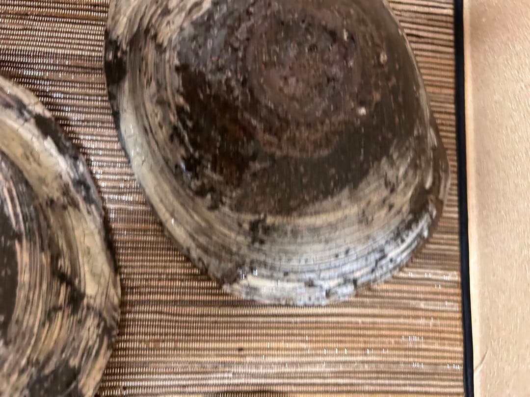 中川自然坊　刷毛目楕円皿　五枚セット