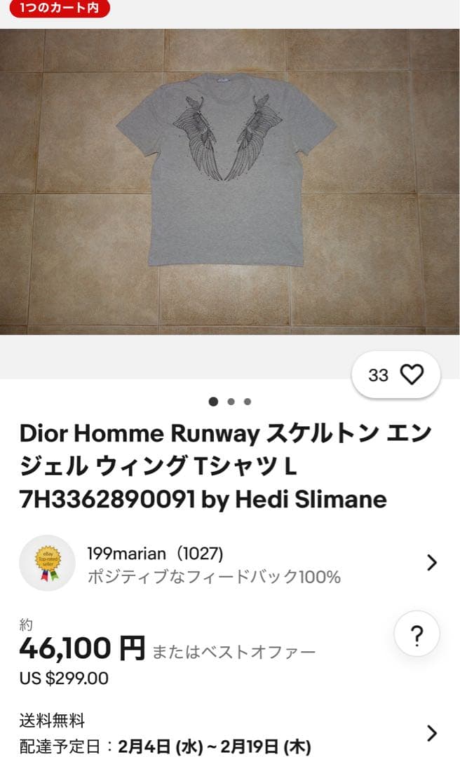 DIOR HOMME エディ期 07AW エンジェルウイング　archive