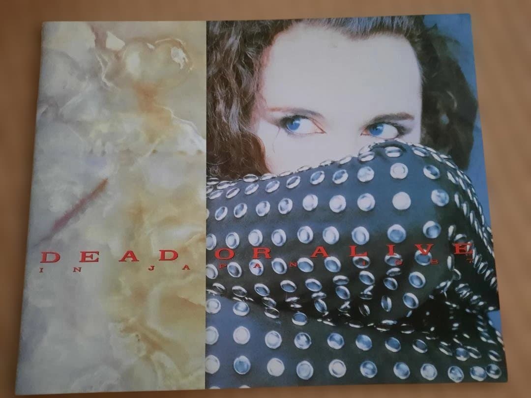 レア　デッドオアアライヴ　1987 Rip It Upツアーパンフ