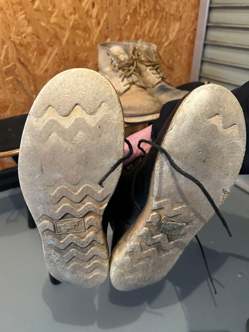 RED WING アイリシュセッター