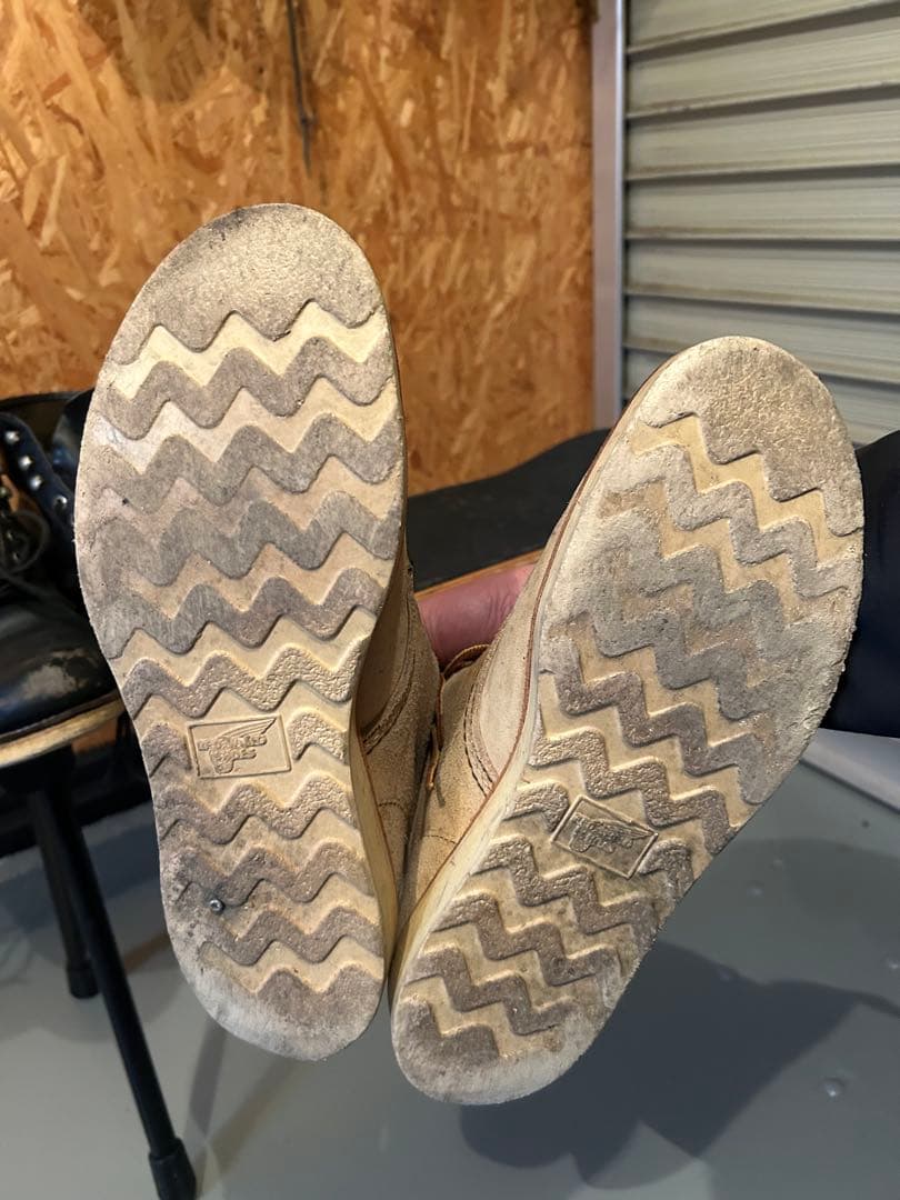 RED WING アイリシュセッター