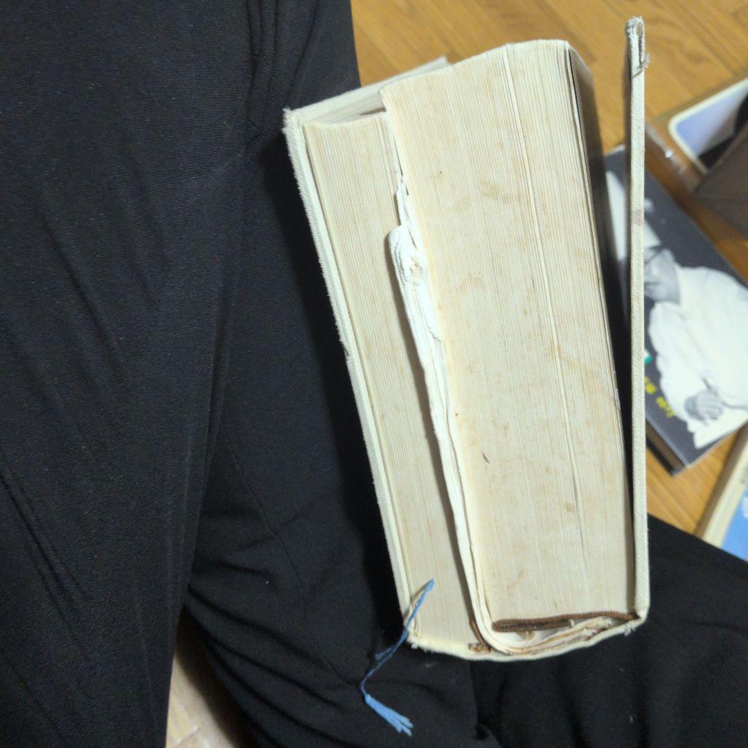 エスコフィエ　本　ジャンク