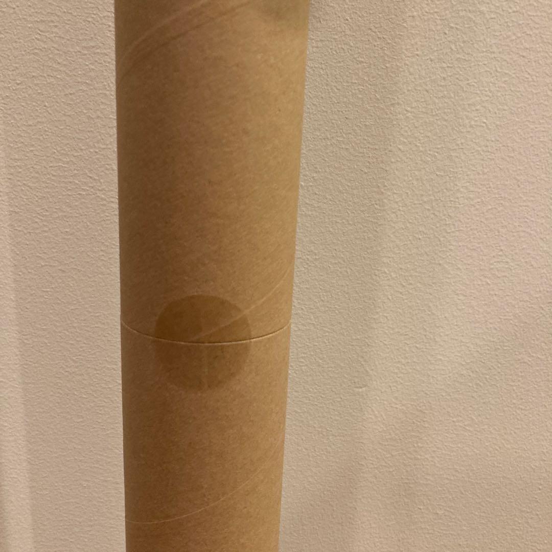 Theseus Chan ポスター テセウスチャン　東京オリンピック　公式