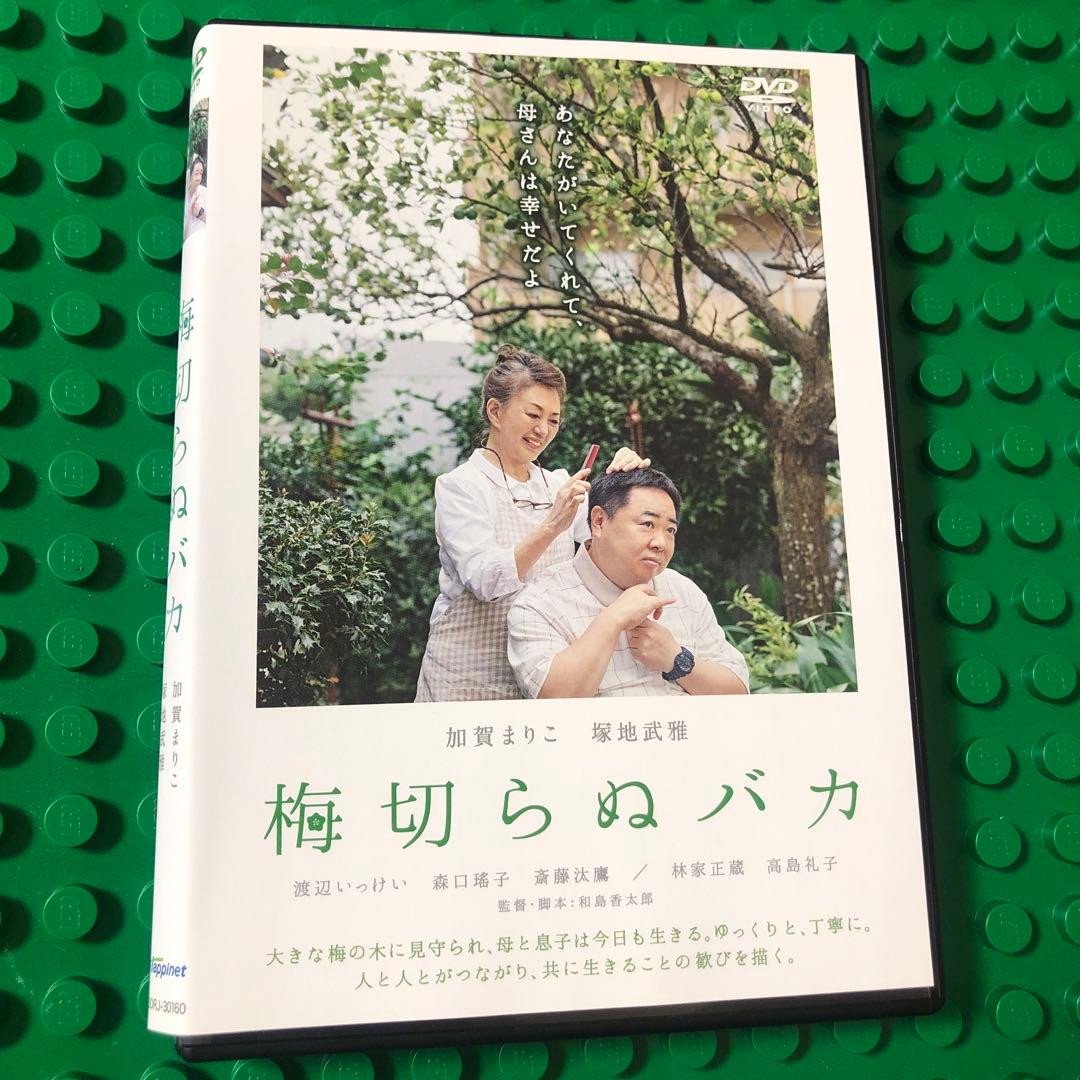 梅切らぬバカ　DVD