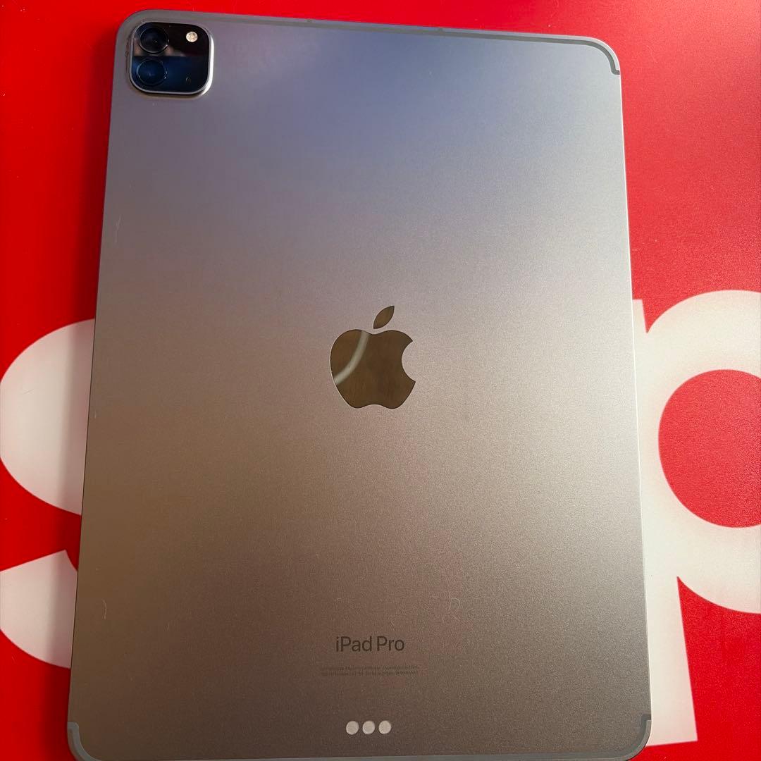 【ジャンク】iPad Pro11インチ　第4世代