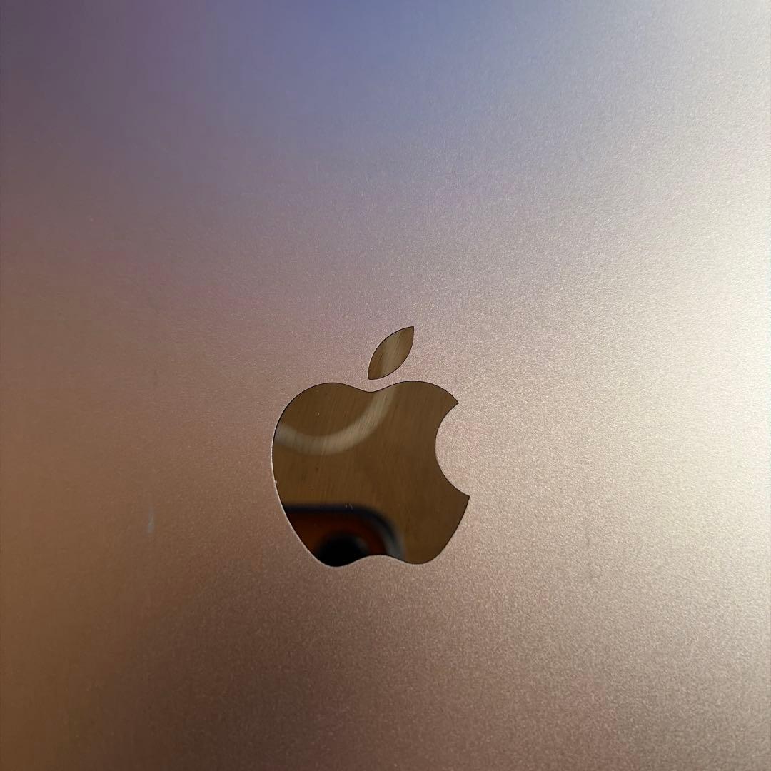 【ジャンク】iPad Pro11インチ　第4世代