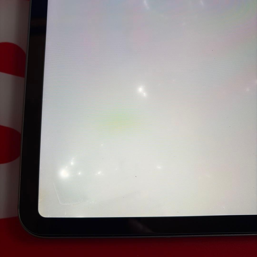 【ジャンク】iPad Pro11インチ　第4世代