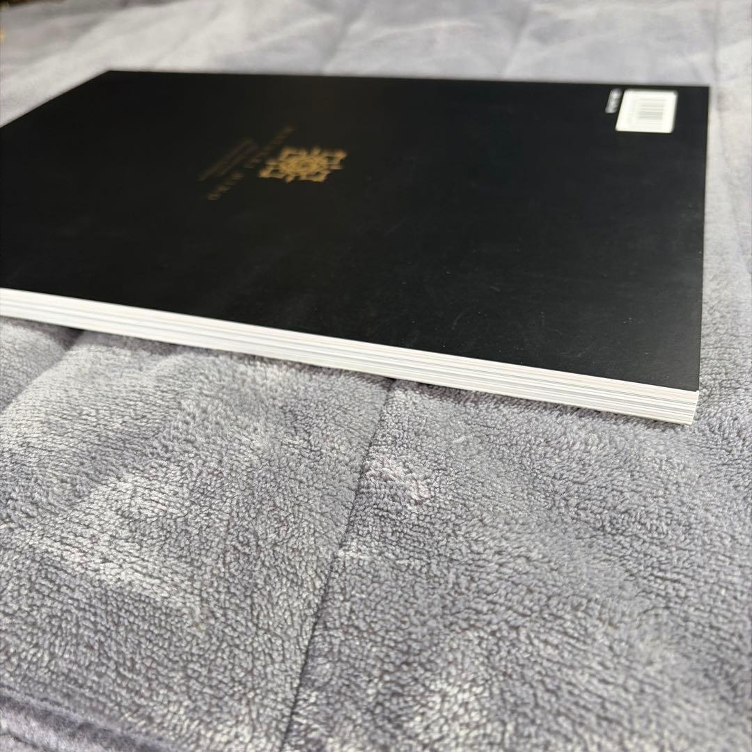 ヴァンパイア騎士原画展 公式ビジュアルブック イラスト集 樋野まつり