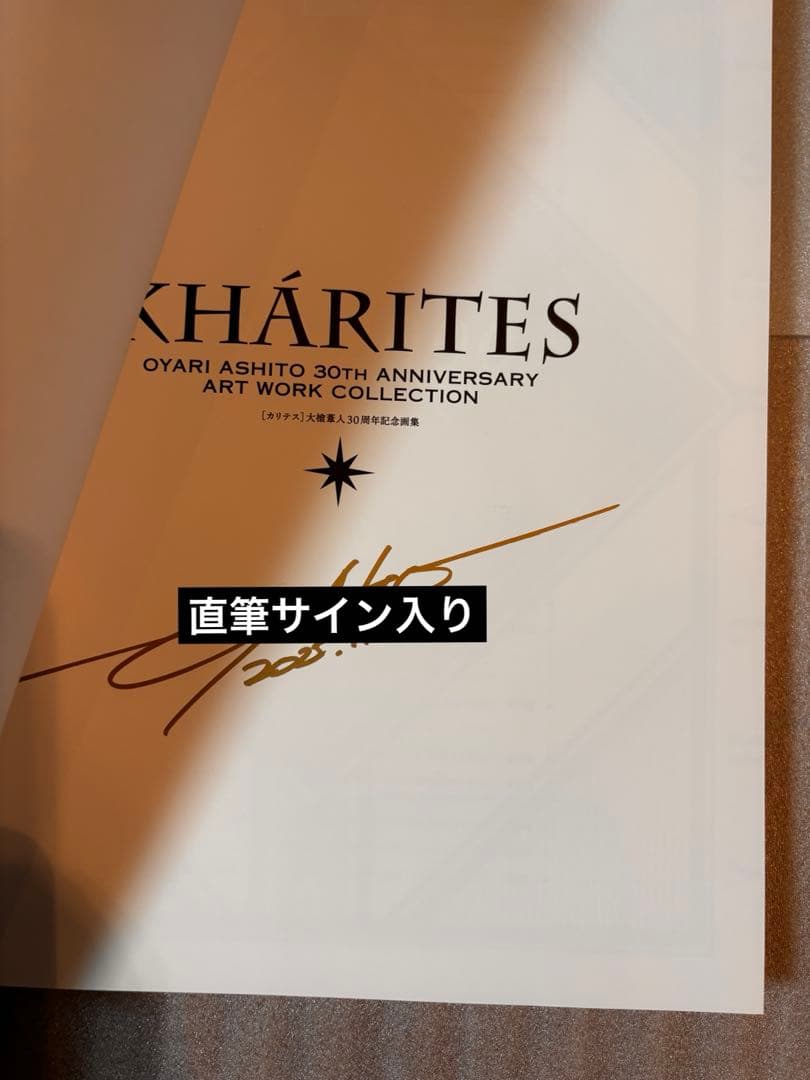 「貴重品」大槍葦人 画集 直筆サイン入り KHARITES カリテス 30周年5