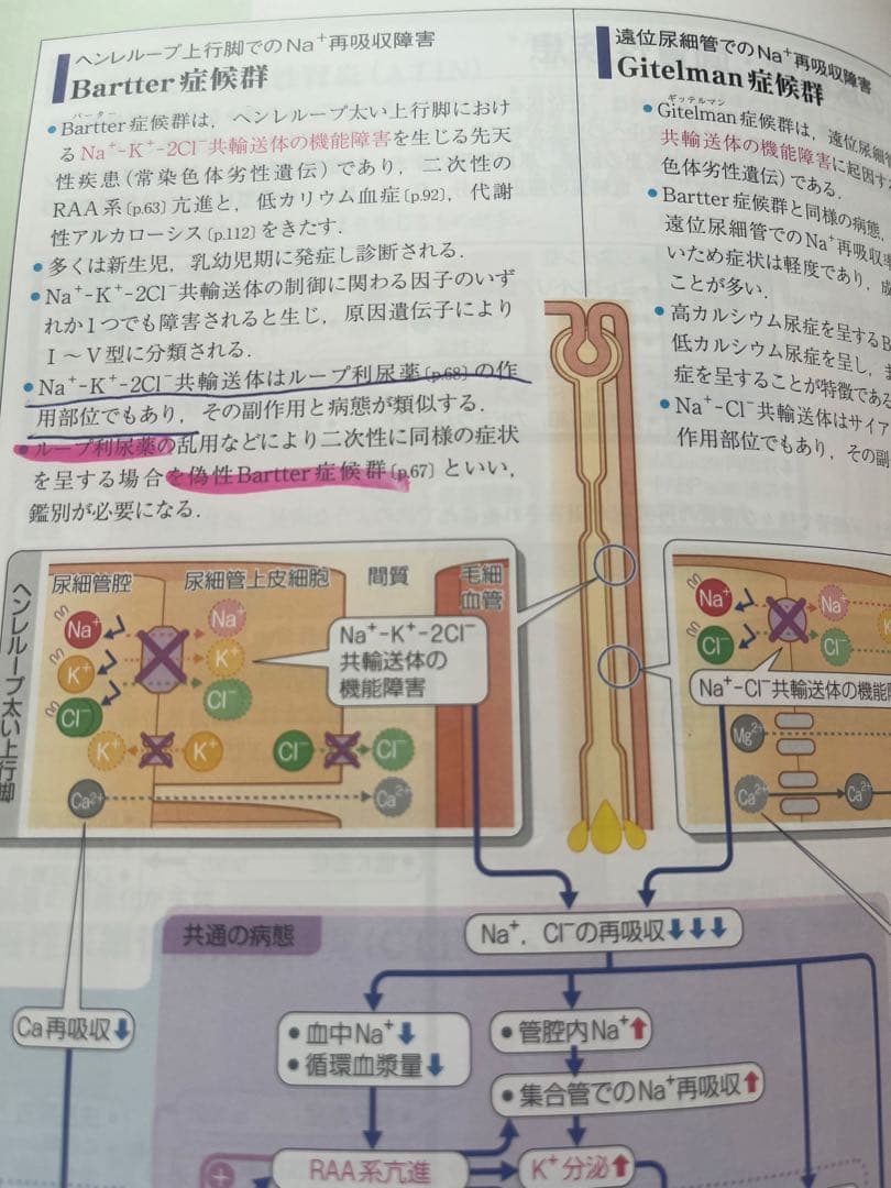 病気が見える！セット売り可！　医療系国試で大活躍