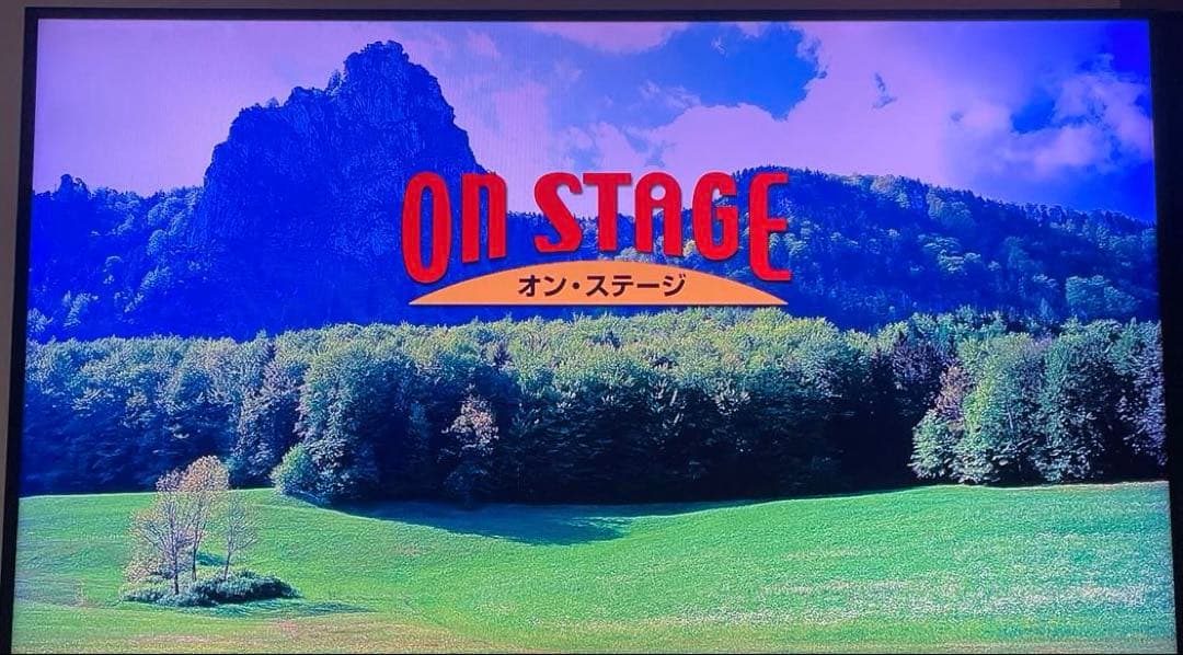 オンステージ カラオケ マイク2台　デュエット　1000曲内蔵　新品電池付