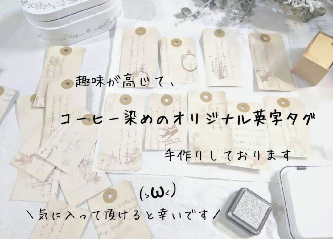 ネイティブスワッグ／プロテア／美しいワイルドスワッグ✳︎・:*+.凛