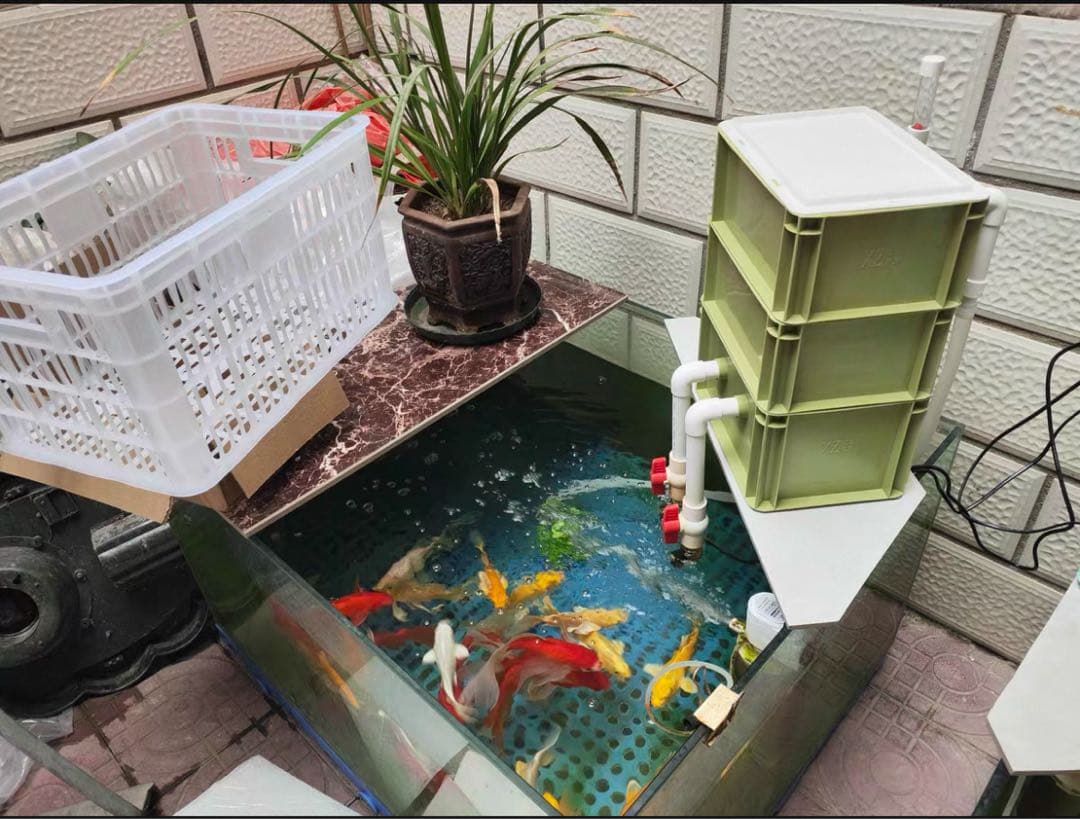 25W水中ポンプ付き水槽池用万能ろ過フィルター 外部式飼育濾過装置器アクアリウム