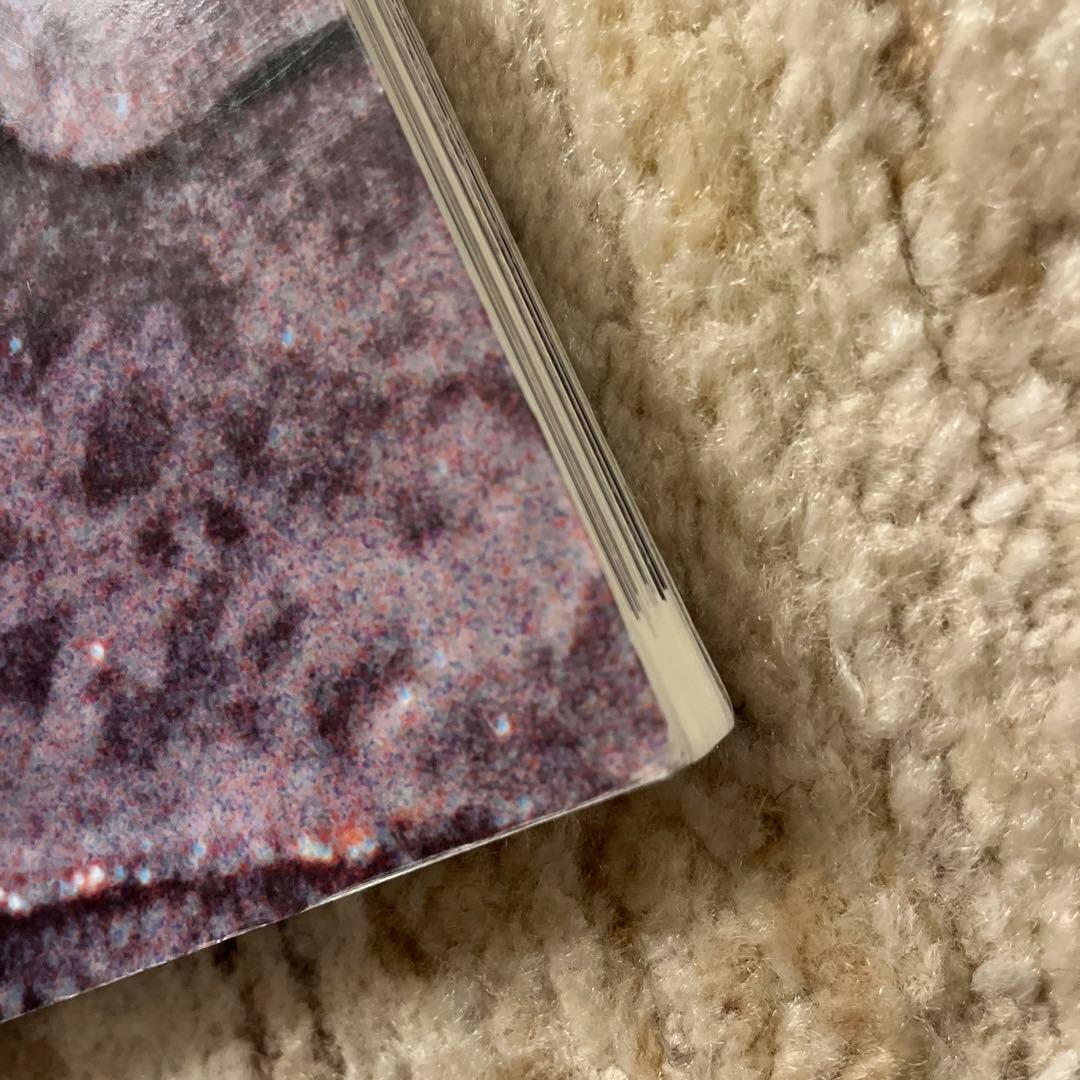 Wolfgang Tillmans 写真集