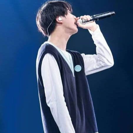 BTS 防弾少年団 Happy Ever After JP KNIT VEST