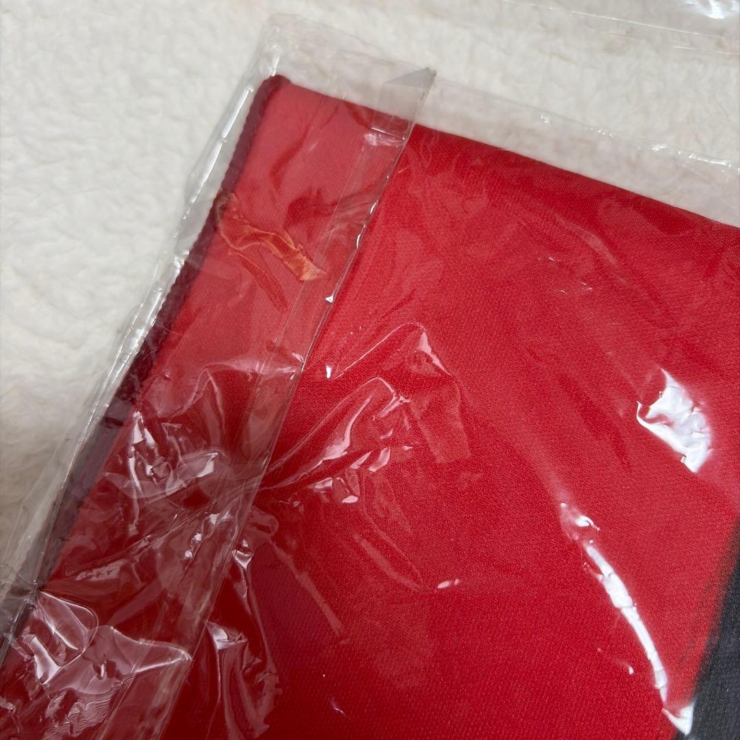 aespa ジゼル　うちわ　タオル　セット　バッジ