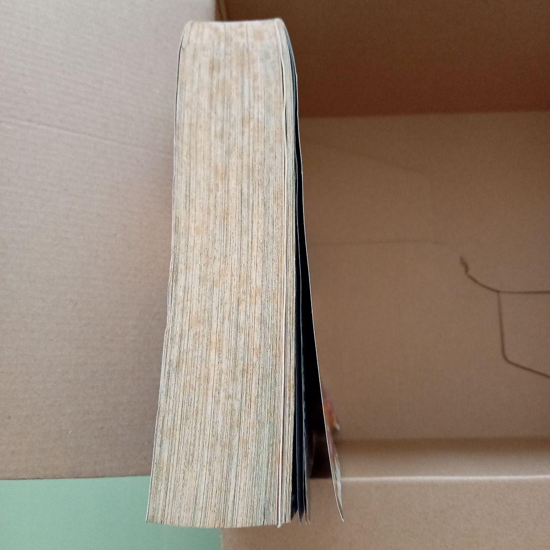 ヤングジャンプ 漫太郎 2006年5.20増刊号 流川楓