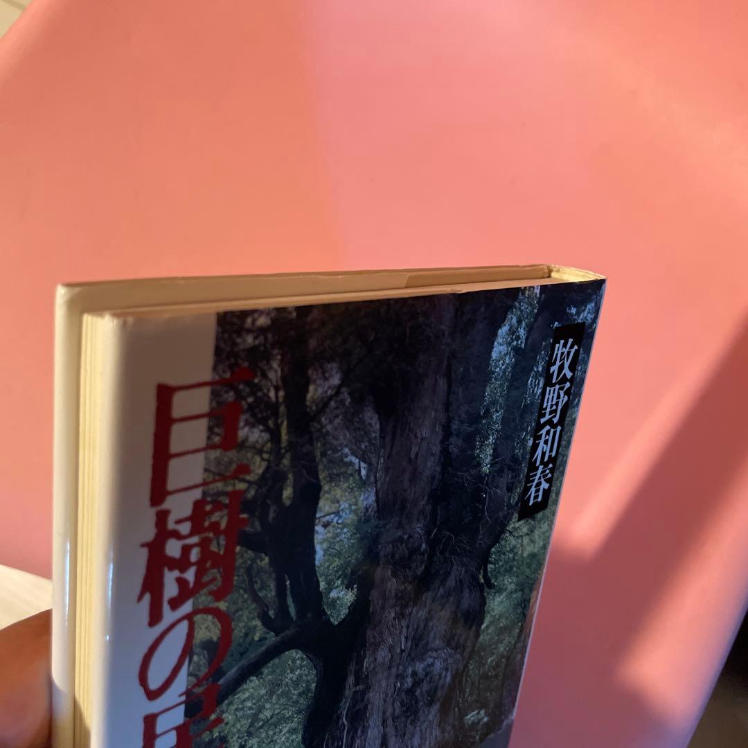 巨樹の民俗学 牧野和春　初版、帯付き　コレクター本
