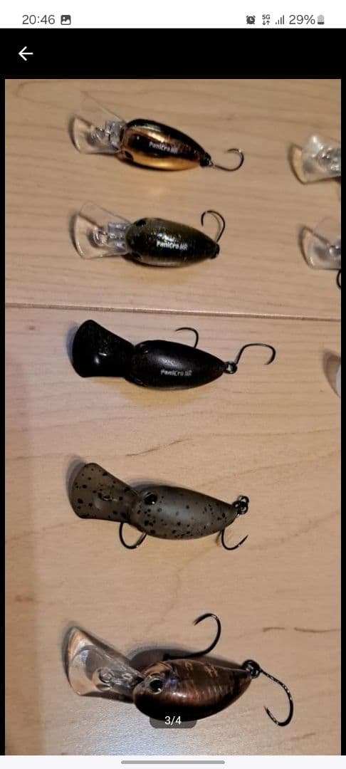 ティモン パニクラ MR ② 10個セット