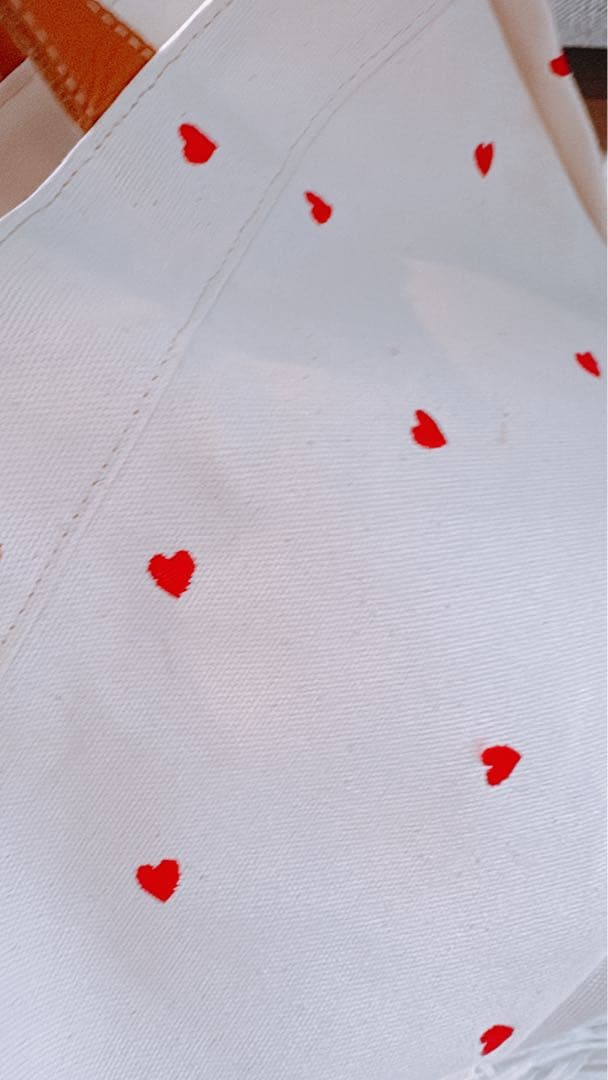 バッグ　キャンパスバッグ　トートバッグ　ラドロー