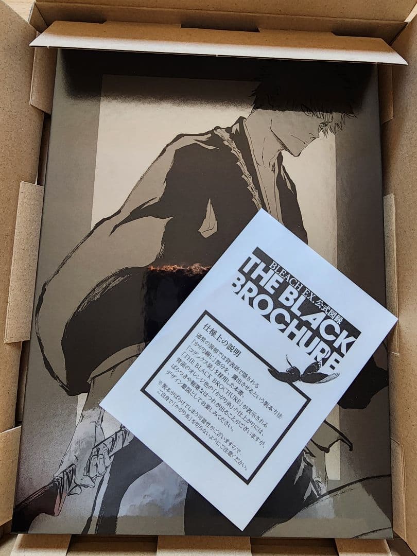 BLEACH EX 公式図録 THE BLACK BROCHURE