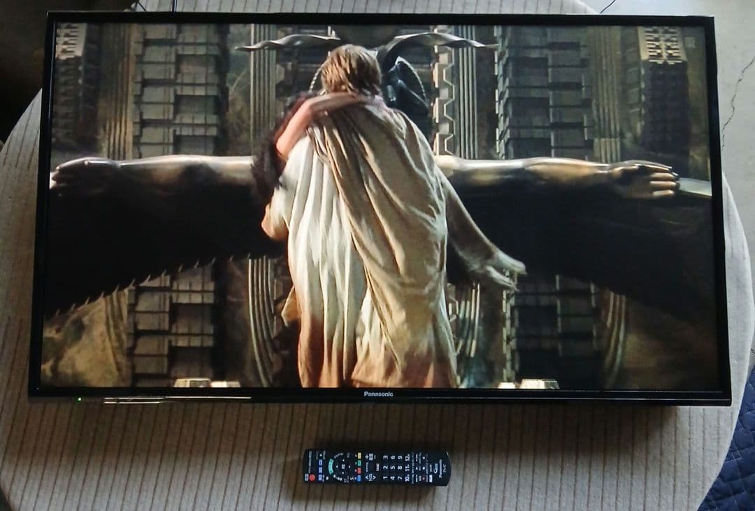 43インチ液晶TV パナソニック TH-43E300HT 【スタンド無】no.9