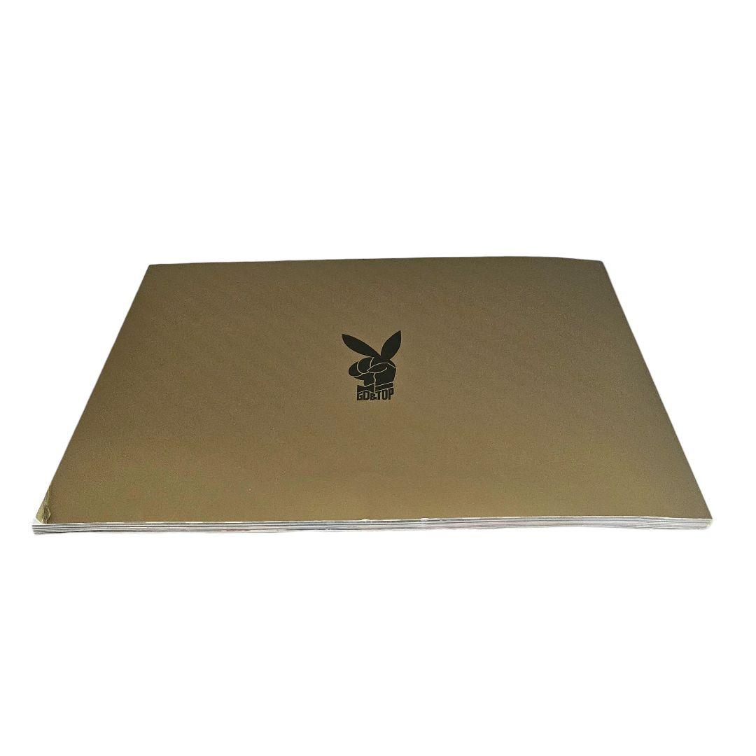 GD&TOP PLAY 日本盤　初回限定　2DVD+フォトブック　BIGBANG