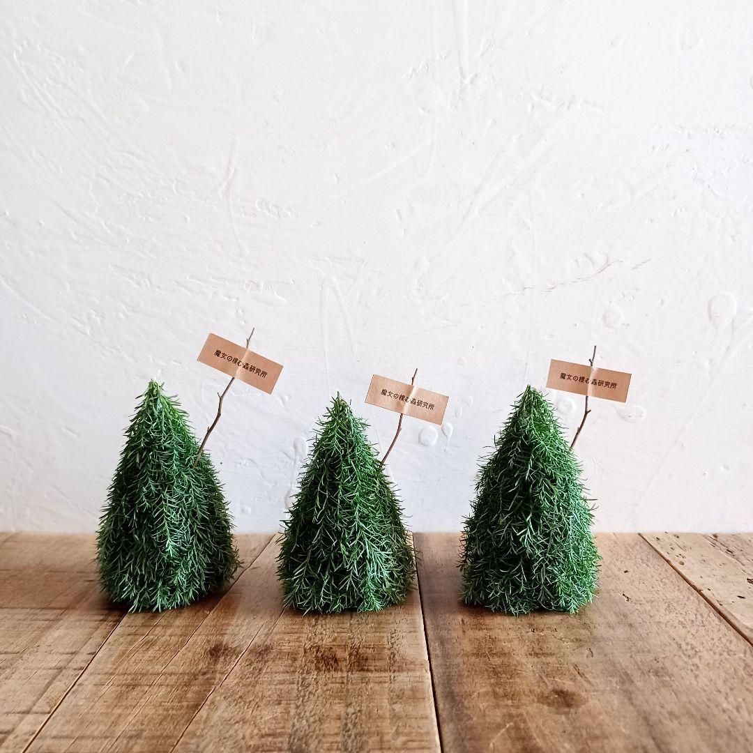 みやみち様 【order】 ドライフラワー クリスマスツリー オーナメント他