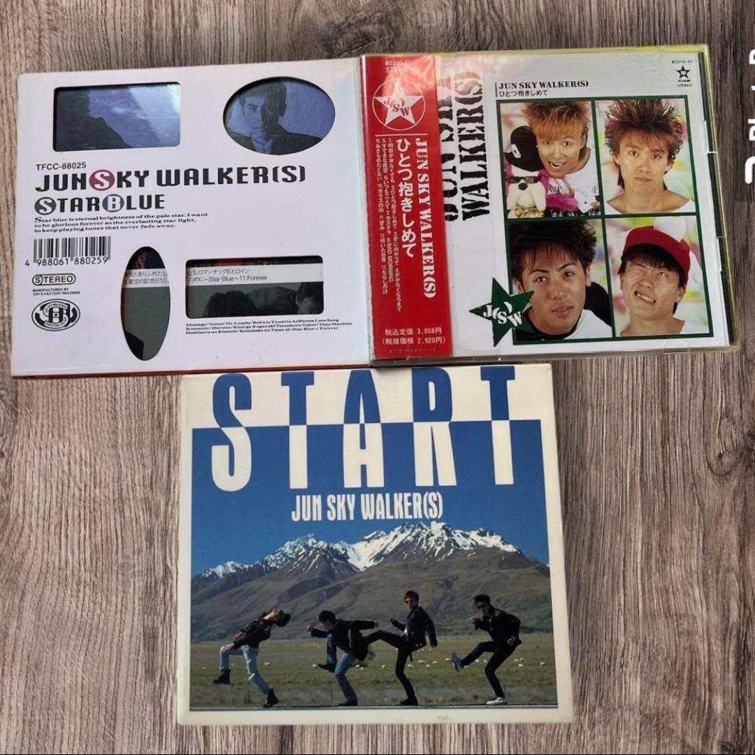 JUN SKY WALKER(S)アルバム14枚シングル白いクリスマス合計15枚