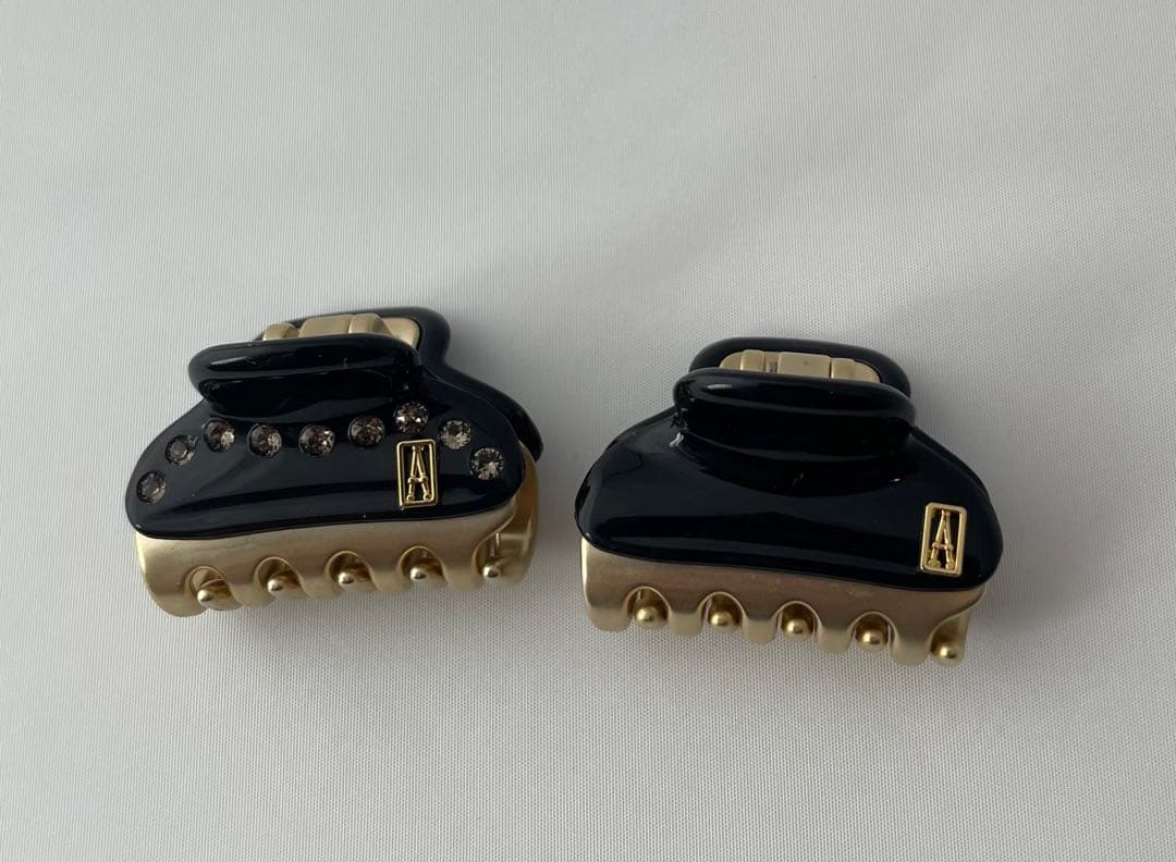 アレクサンドルドゥパリ　クリップ　2点セット　美品