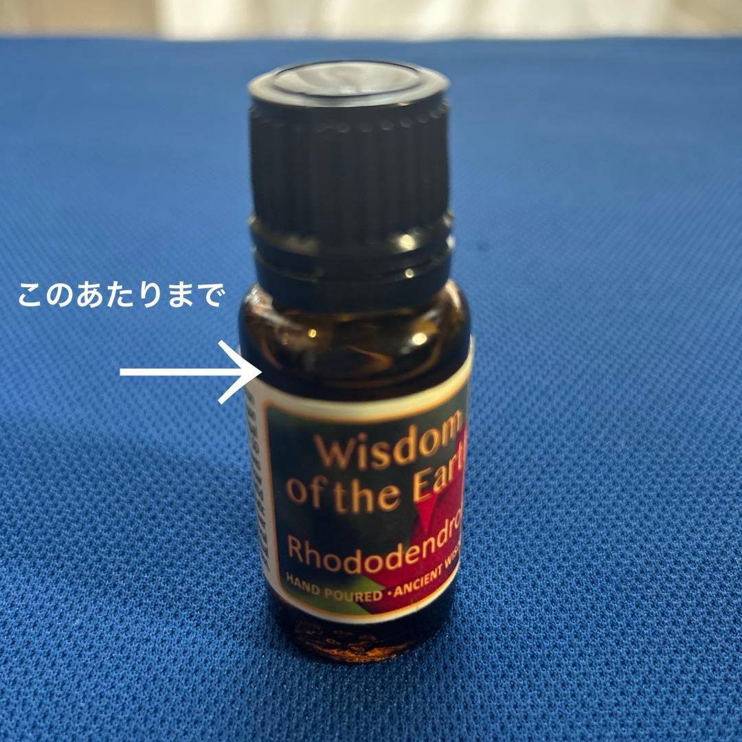 ロードデンドロン　西洋シャクナゲ　精油 15ml　WOTE