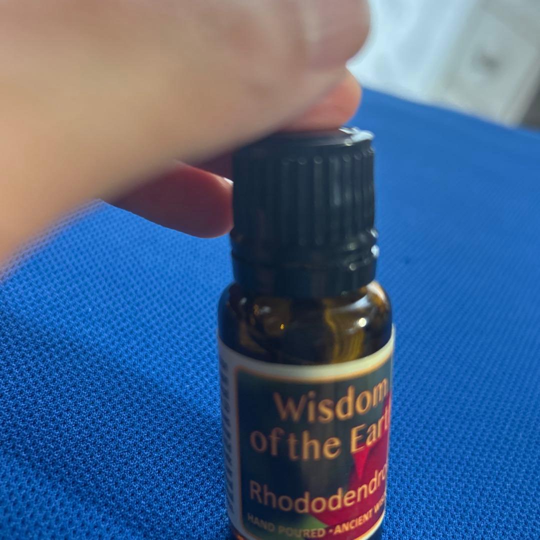ロードデンドロン　西洋シャクナゲ　精油 15ml　WOTE