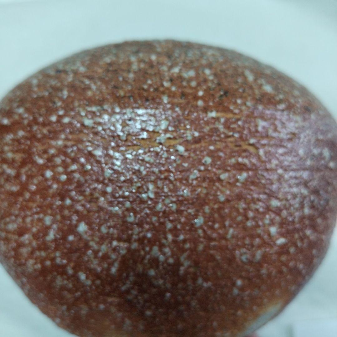 〔信楽芋頭水指〕春斎