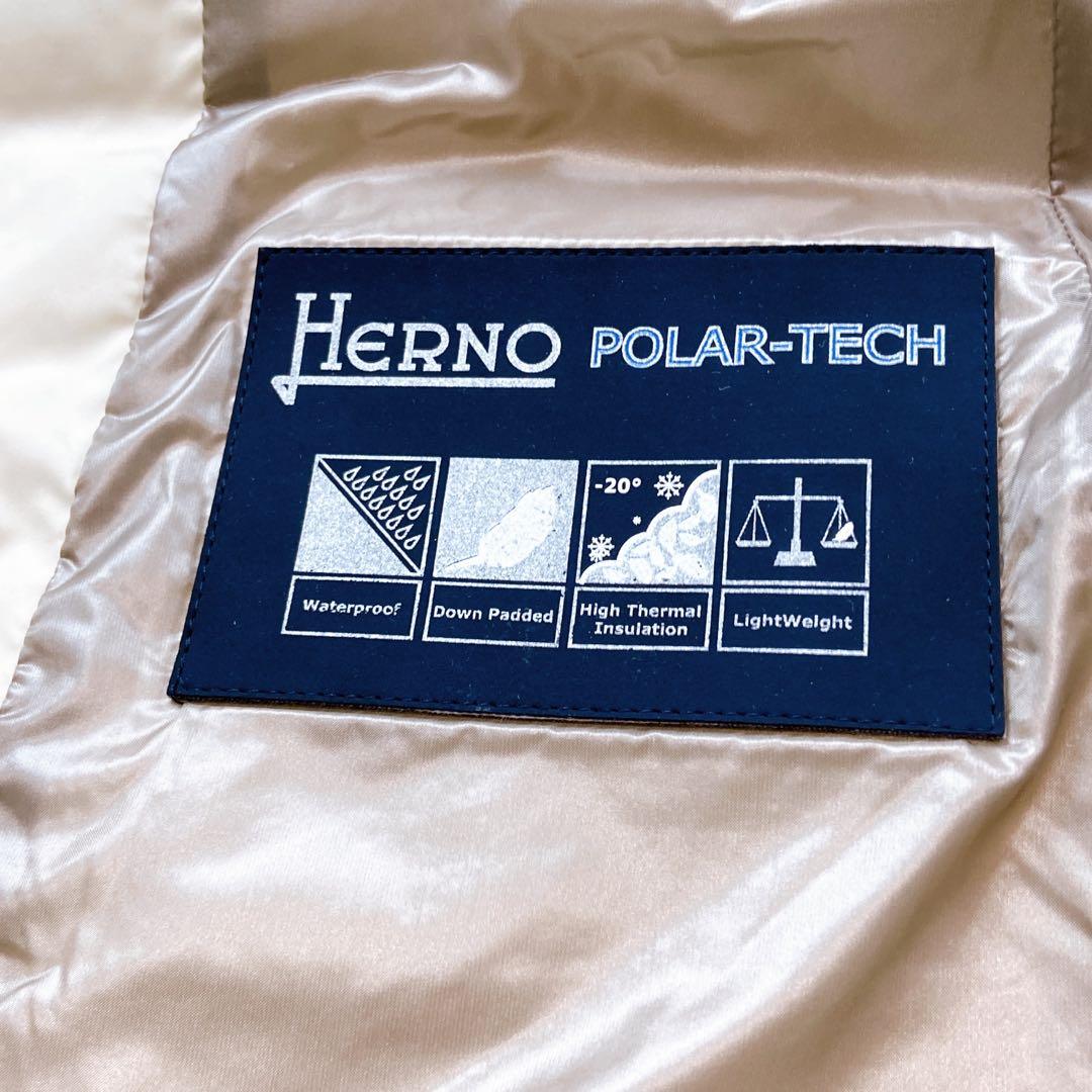 極美品 貴重サイズ 46 ダウンベスト POLAR TECH ヘルノ
