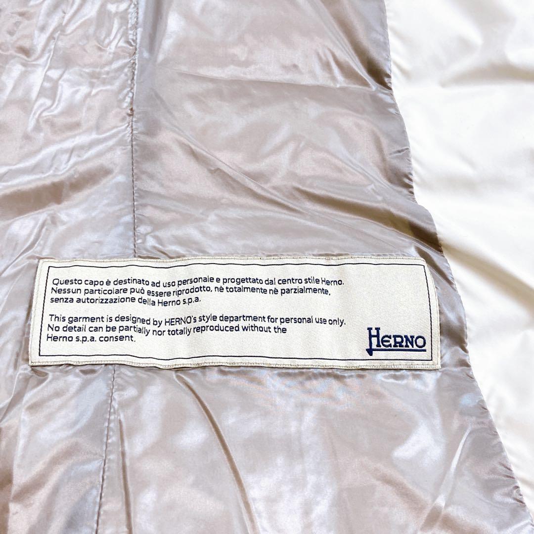 極美品 貴重サイズ 46 ダウンベスト POLAR TECH ヘルノ