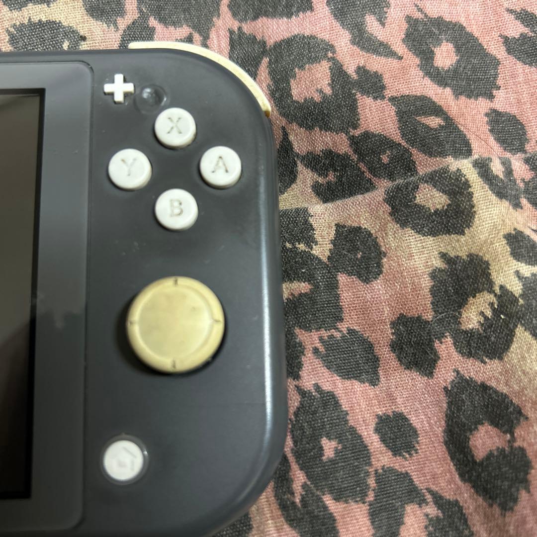 Nintendo Switchライト グレー ジャンク品