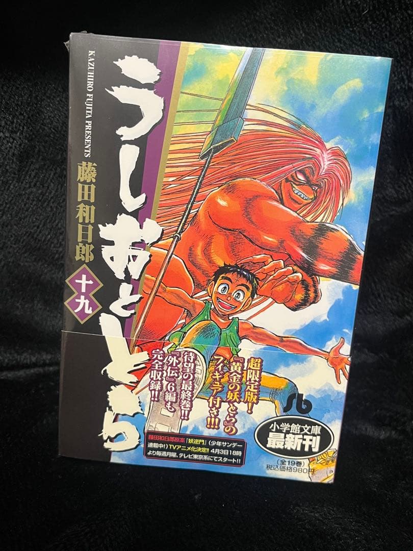 【未開封品】文庫版 うしおととら 19巻 限定フィギュア付