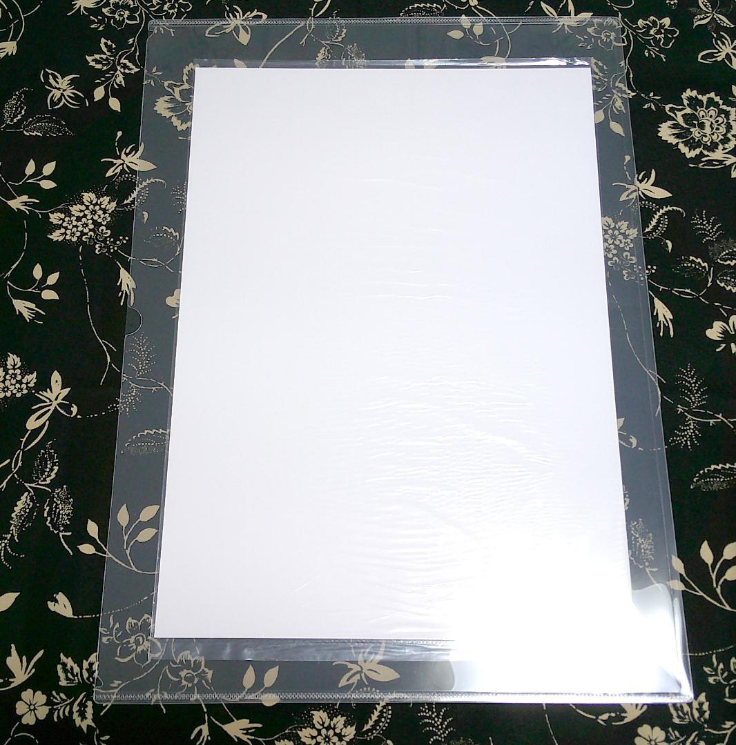 大暮維人 複製原画 アニメイト 特典