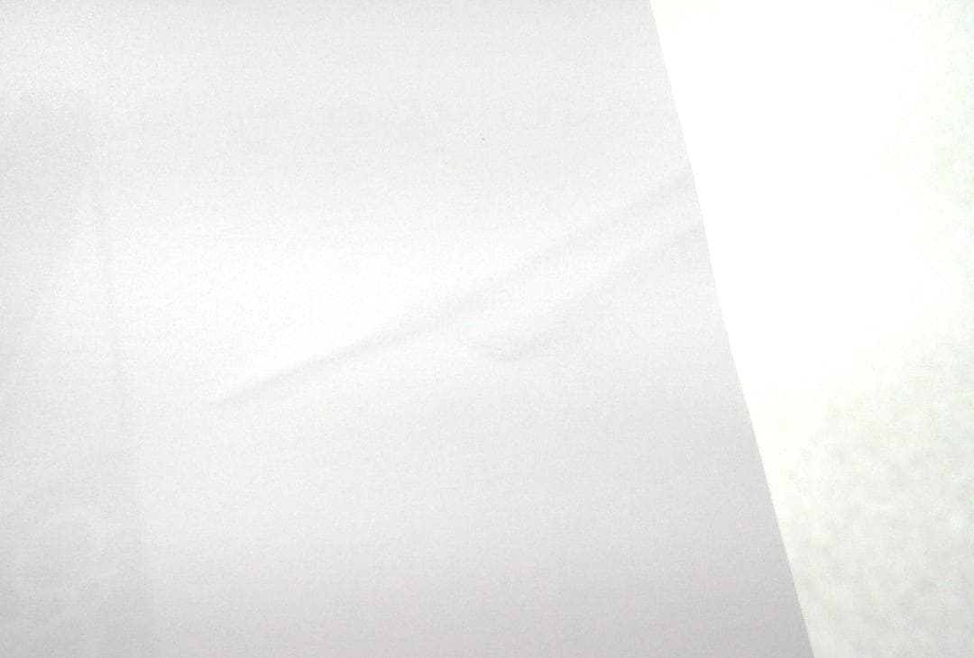 大暮維人 複製原画 アニメイト 特典