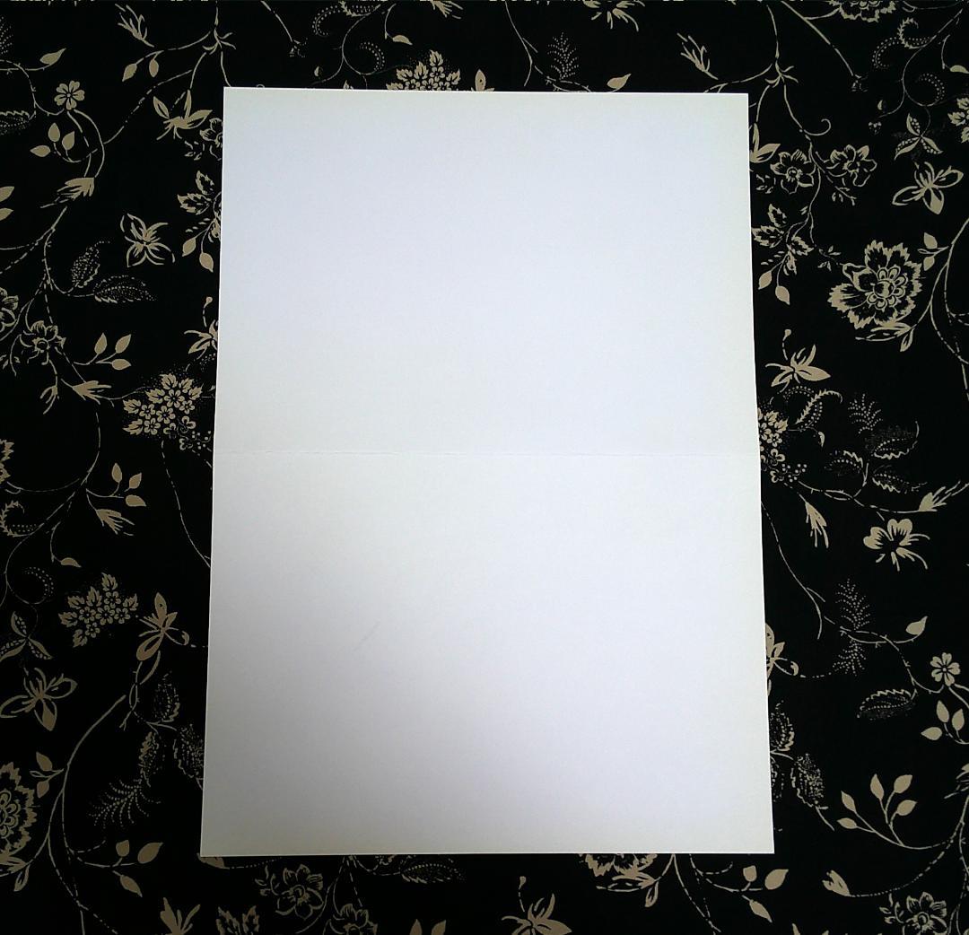 大暮維人 複製原画 アニメイト 特典