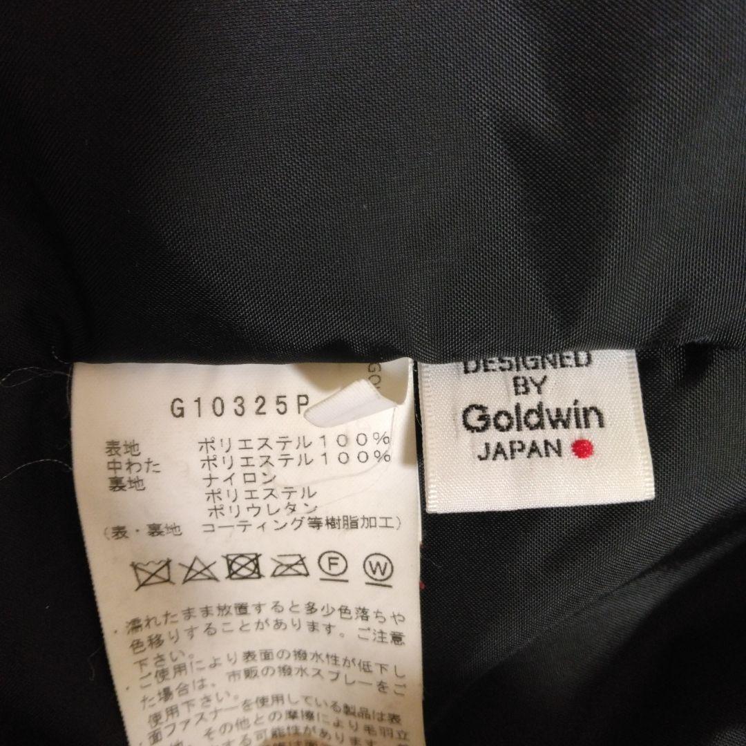 Goldwin スキーウェア ジャケットLサイズ デモ用