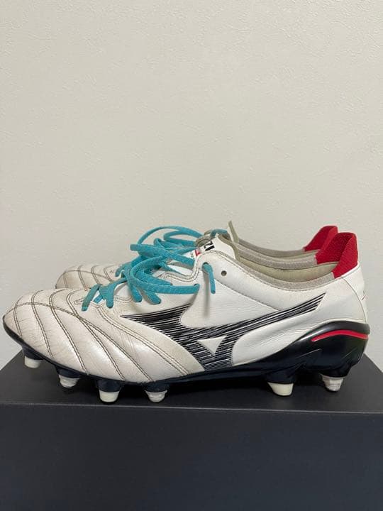 モレリアネオ3Japan MIX26センチ