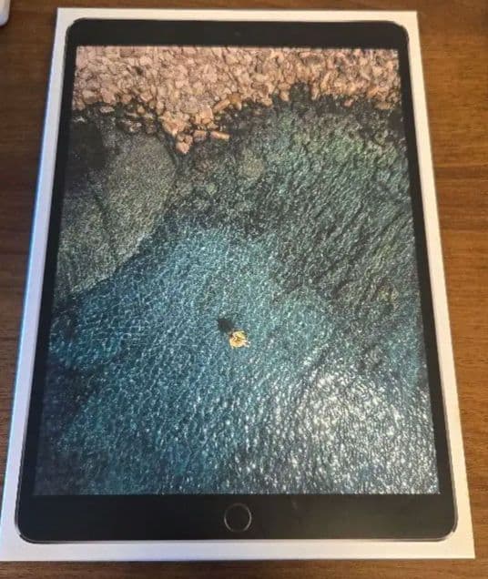 iPad Pro 10.5インチ WiFi+Cellularモデル 256GB