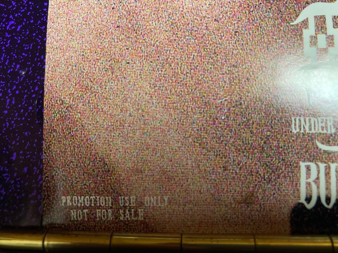 ■プロモ盤２枚■BUCK-TICK（バクチク）悪の華／JUST ONE…レコード