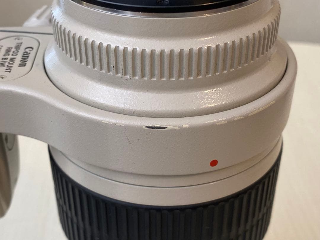 L*y様 実用動作品　Canon EF 70-200mm f/2.8L