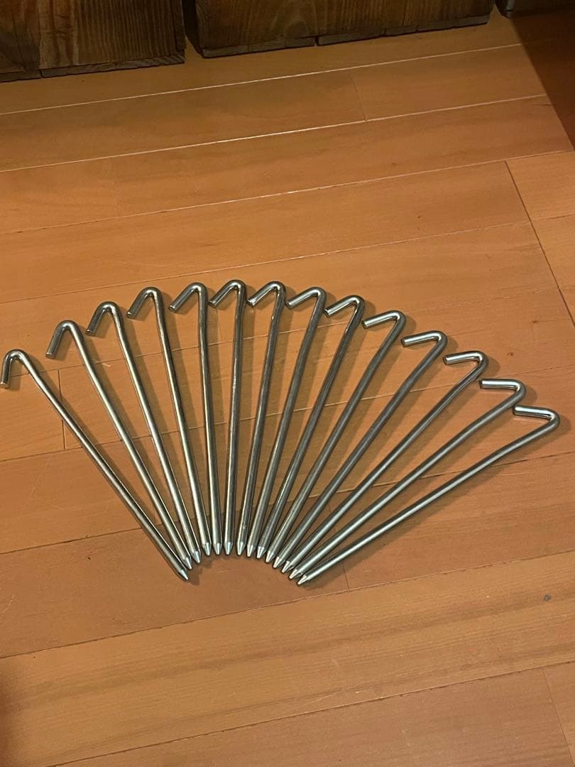 【特別値引（今だけ）】SABBATICAL モーニンググローリーTC