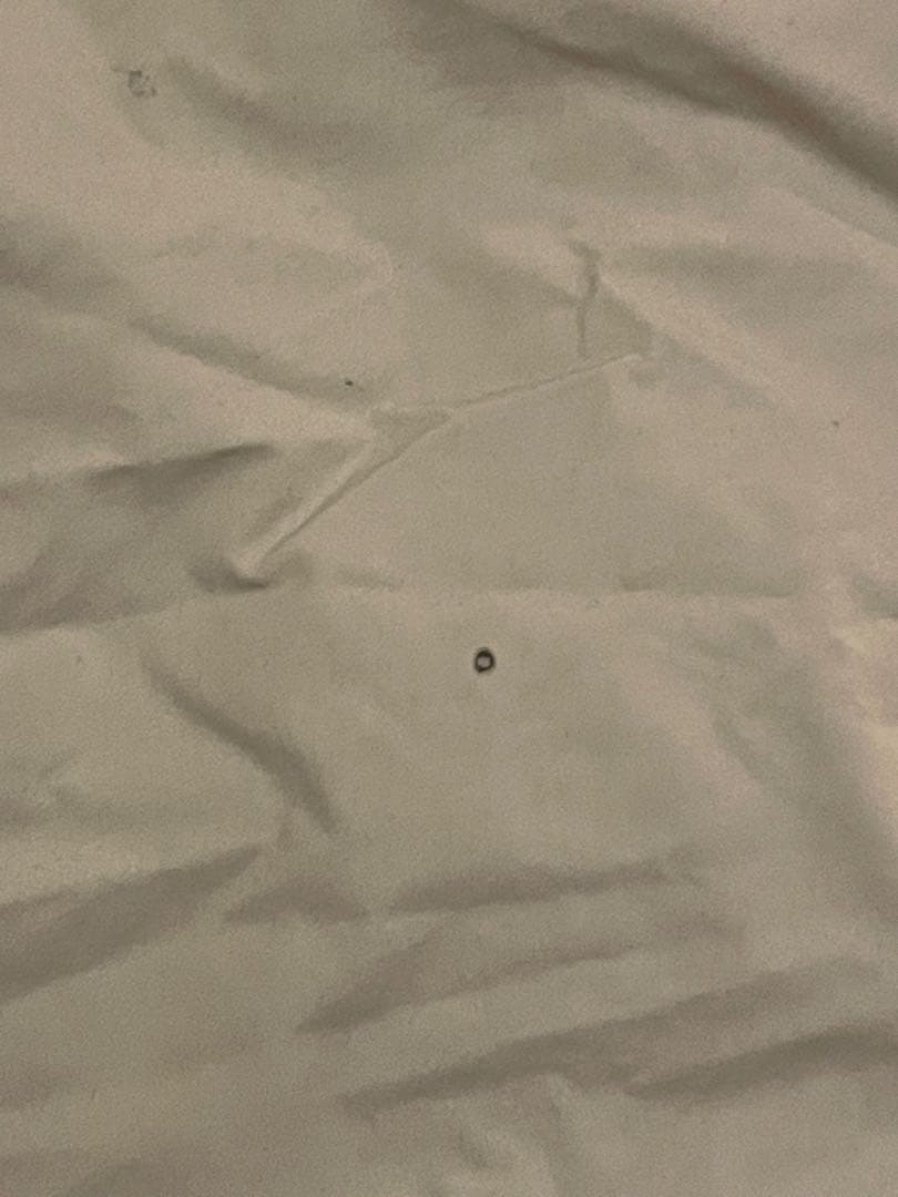 【特別値引（今だけ）】SABBATICAL モーニンググローリーTC